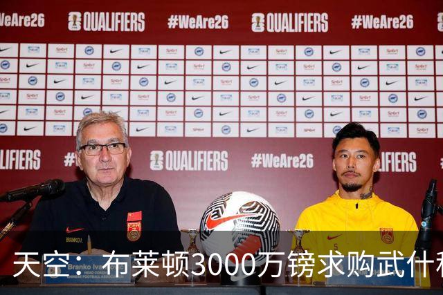 天空：布莱顿3000万镑求购武什科维奇，预计热刺对其估值超6000万